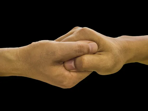 ブルー フォックス カジノ サポート